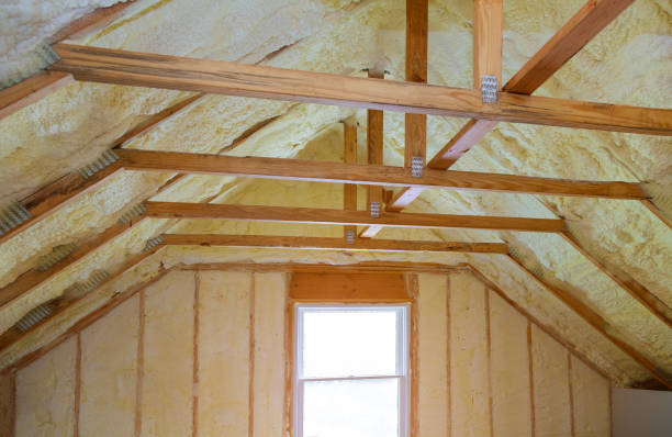 Best Commercial Insulation in Mayo, SC