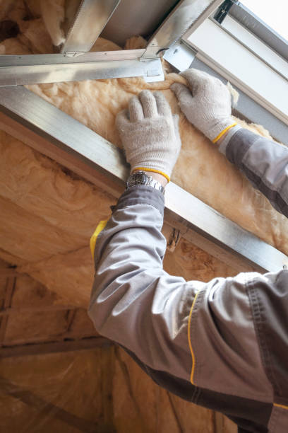 Best Fiberglass Insulation in Mayo, SC