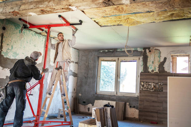 Best Residential Insulation in Mayo, SC