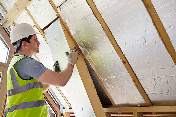 Types of Insulation We Offer in Mayo, SC