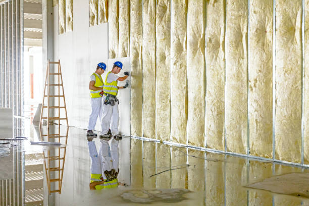 Best Spray Foam Insulation in Mayo, SC